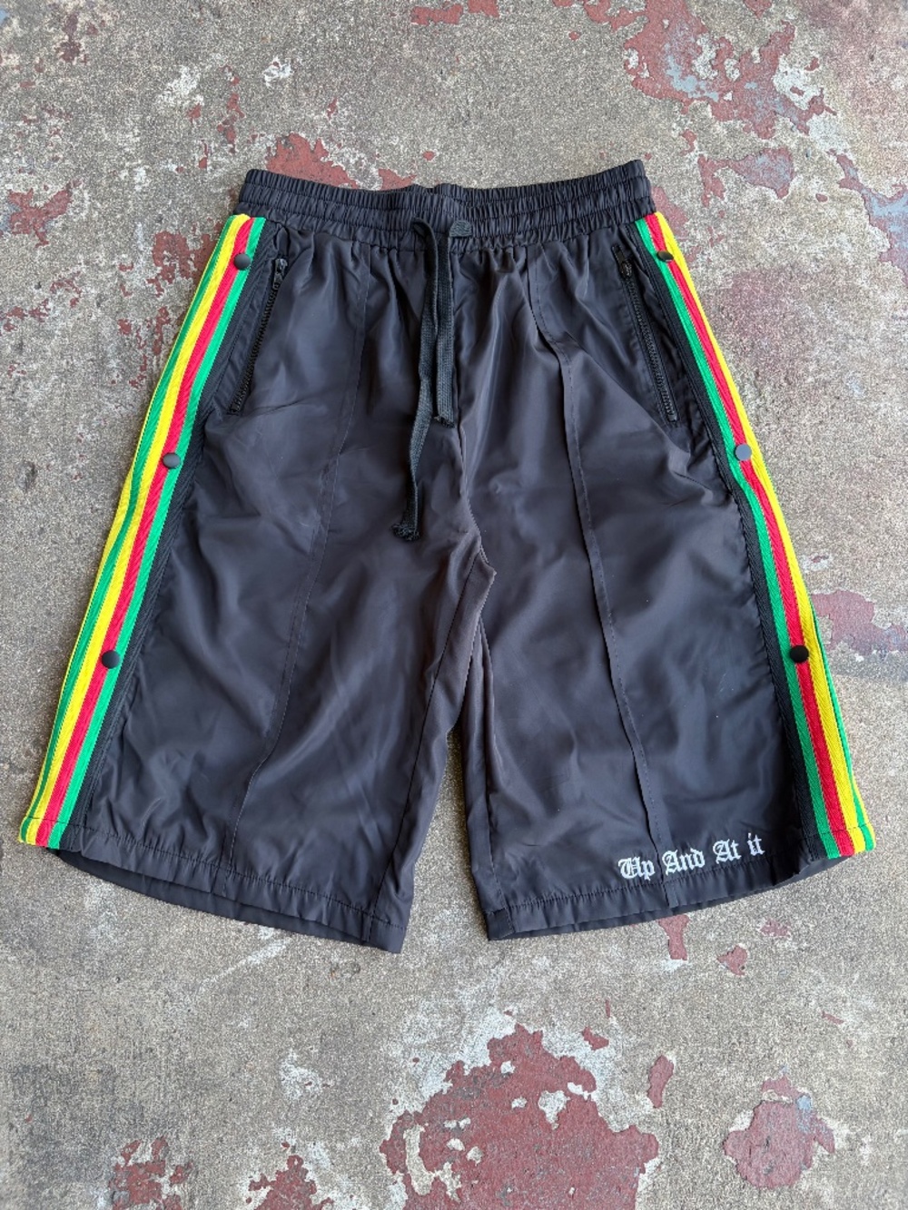 “Rasta” Nylon Shorts